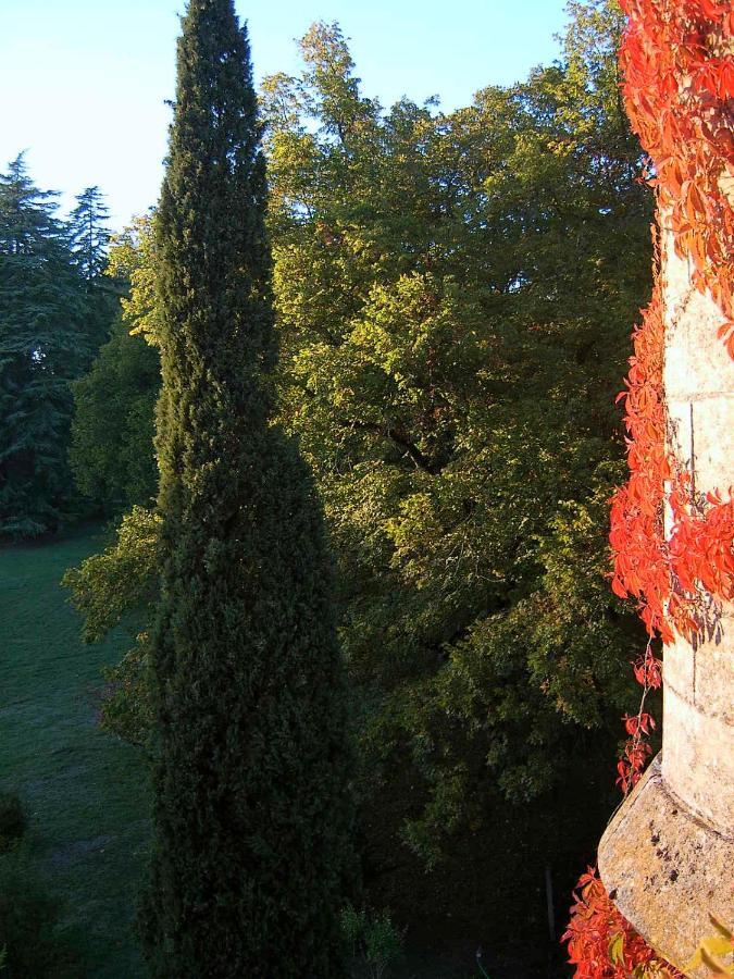 Gardegan-et-Tourtirac Chateau De Pitray, Pres De Saint Emilion المظهر الخارجي الصورة